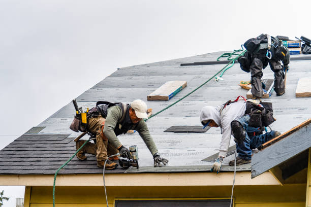 Professional Emergency Roof Repair technician working in Channahon, IL